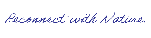 BlueDanceMarine_Quotes-05